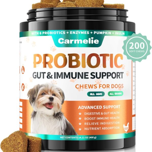 Probiotics for Dogs, 200 Soft Chews Digestive Probiotics & Enzymes for Gut Health with Pumpkin, Fibre for Dogs Anti Diarrhea, Upset Stomach, Gas Relief, Itchy Skin & Immune Support (Chicken)